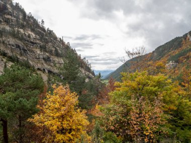 Colorado dağlarında sonbahar mevsimi
