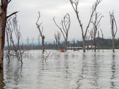 Dağlardaki göl manzarası