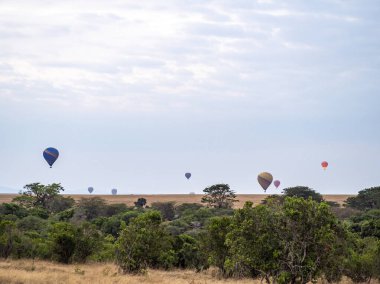 Kapadokya vadisinde uçan hava balonları