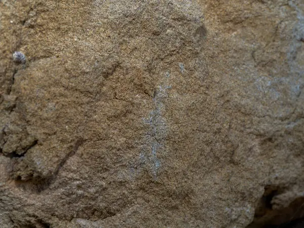 doku, arkaplan, desen. Kahverengi ve beyaz mermer. doğal arkaplan.