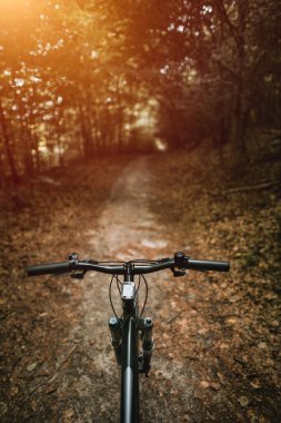 Mountain biker riding on flow single track trail in green forest, POV behind the bar's view of the cyclist. POV MTB riding in the woods. Outdoors active sports concept.