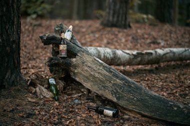 09.01.2022 Gdansk Poland. Litter and trash in the forest. Pile of garbage on a woods foliage. Empty beer bottles and plastic pollution. Nature environment problems and nature protection.