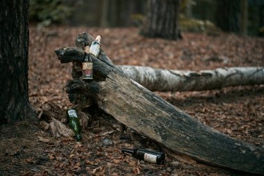 09.01.2022 Gdansk Poland. Litter and trash in the forest. Pile of garbage on a woods foliage. Empty beer bottles and plastic pollution. Nature environment problems and nature protection. clipart