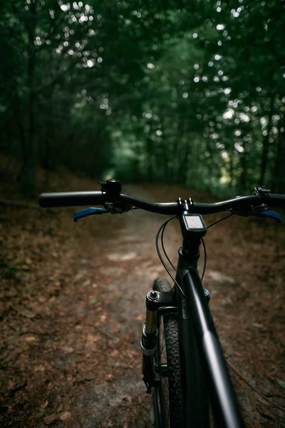 First Person View Cycling Forest Close Mountain Bike Handlebar Summertime — Zdjęcie stockowe