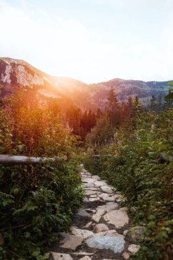 Ulusal parkta doğal çakıl taşı yolu. Dağlardaki turistik altyapı kavramı.