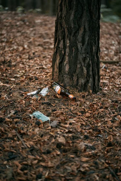 2022 Gdansk Poland Litter Trash Forest Pile Garbage Woods Foliage — Φωτογραφία Αρχείου