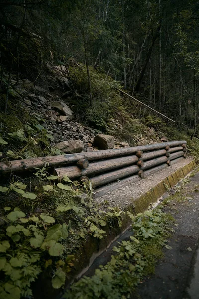 Mystischer Bergwald Lokale Landschaft Des Waldes Vom Gipfel Des Moeskie — Stockfoto