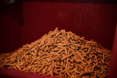 Meşe topaklarıyla dolu pelet sobası. Alternatif yakıt kavramı. Yenilenebilir eko enerjili ısıtma evi.