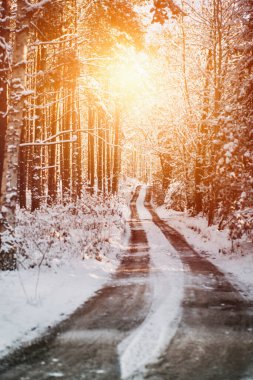 Kış ormanı, kar fırtınası sırasında karla kaplı bir sokak. Kış boyunca ormanda kırsal patika