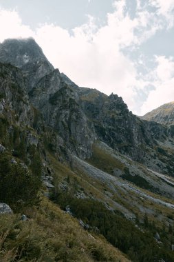 Dağların zirvesi. Avrupa dağlarında güneşli bir gün.