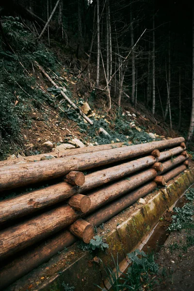 Деревянная Удерживающая Стена Предотвращения Падения Почвы Национальном Парке Естественная Подпорная — стоковое фото