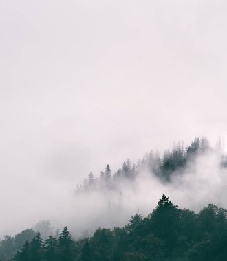 Polonya 'nın Zakopane kentindeki dağ sıraları ve yeşil tepe katmanları