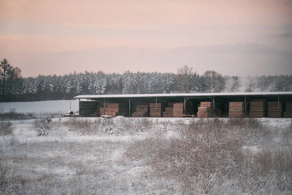 Hinterhof Einer Holzfabrik Lagerung Von Holzmaterial Auf Der Anlage Winter — Stockfoto