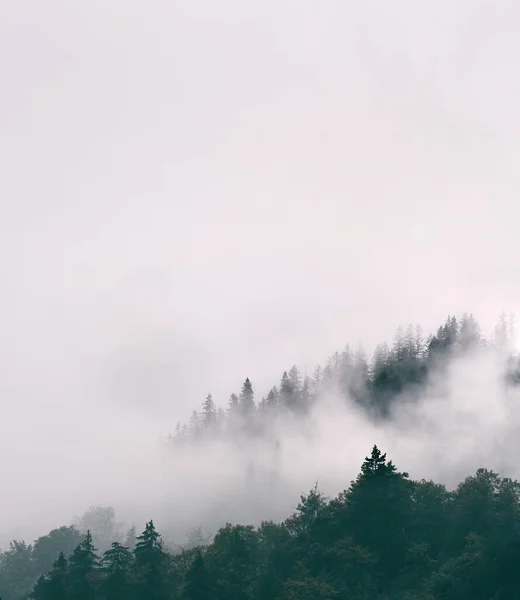 Polonya Nın Zakopane Kentindeki Dağ Sıraları Yeşil Tepe Katmanları — Stok fotoğraf