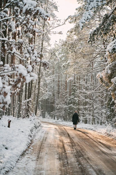 Uma Mulher Caminha Caminho Inverno Floresta Nenhuma Face Para Trás — Fotografia de Stock