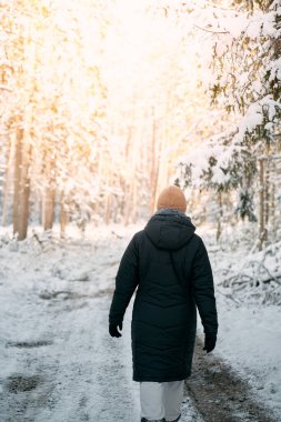 Kış ormanı, kar fırtınası sırasında karla kaplı bir sokak. Kış boyunca ormanda kırsal patika