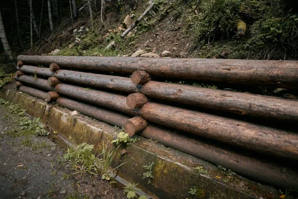 Dřevěná Opěrná Zeď Aby Zabránilo Pádu Půdy Národním Parku Přirozená — Stock fotografie