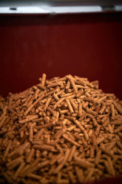 Kocaman ahşap topaklar. Ev ısıtması için eko yakıtı. Daha iyi bir gelecek konsepti için sürdürülebilir ve yenilenebilir enerji.