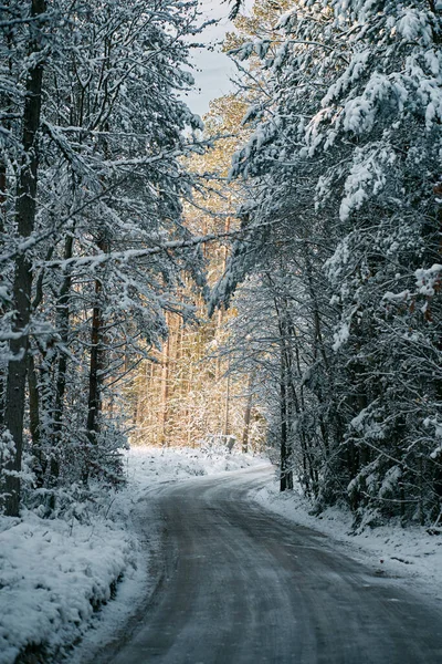 Droga Zimowa Lesie — Zdjęcie stockowe