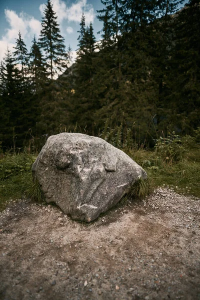 Ein Einziger Großer Fels Wald Konzept Der Unberührten Natur Den — Stockfoto