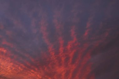 Pembe günbatımı gökyüzü manzarası. Gün batımında tüylü bulutlu bulutlar