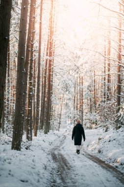 Ormanda kış yolu. Karla kaplı yol.