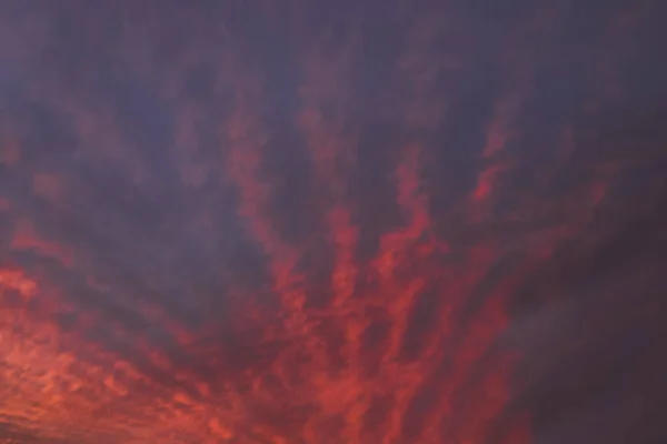 Panorama Céu Cor Rosa Cloudscape Com Nuvens Penas Durante Pôr — Fotografia de Stock
