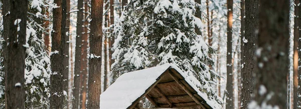 冬の間の農業の家 田園地帯は雪に覆われている — ストック写真