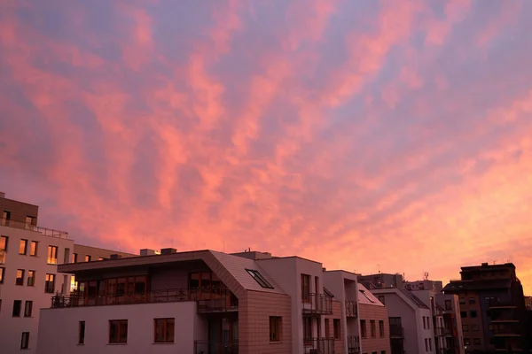 Beautiful Pink Blue Unusual Feather Clouds Sky Sunrise Sunset Scenic — Stock Photo, Image
