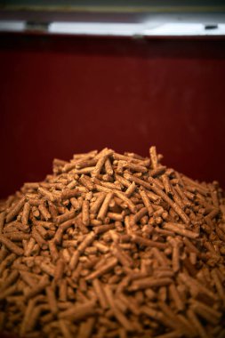 Tahta topaklar depolanmış. Alternatif yakıt kavramı. Evi yenilenebilir eko enerjiyle ısıtıyor. Isınan su ve içler için basınçlı talaş.