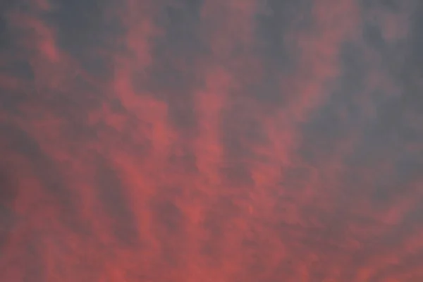 Mooie Roze Blauwe Ongewone Veren Wolken Tegen Hemel Bij Zonsopkomst — Stockfoto