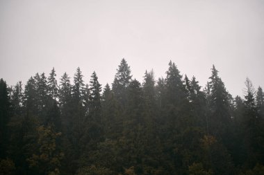 Nefes kesici dağ manzarası manzarası. Polonya Tatra Dağlarının güzel doğası