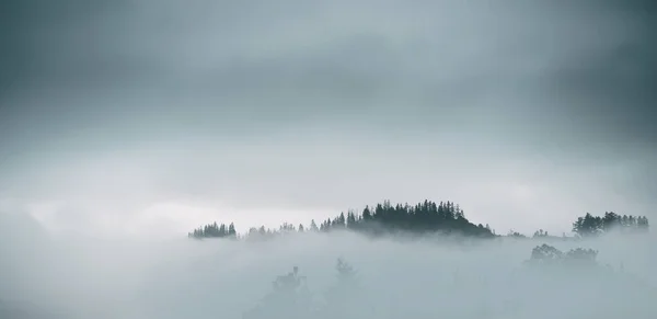 stock image Mountain slopes landscape with fir trees in the fog in Zakopane, Poland