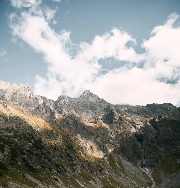 Cordillera Capas Montaña Verde Zakopane Polonia — Foto de Stock
