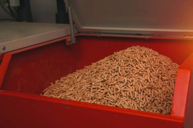 Meşe topaklarıyla dolu pelet sobası. Alternatif yakıt kavramı. Yenilenebilir eko enerjili ısıtma evi.