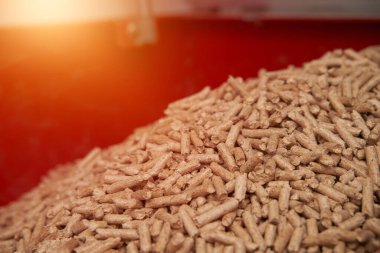 Meşe topaklarıyla dolu pelet sobası. Alternatif yakıt kavramı. Yenilenebilir eko enerjili ısıtma evi.