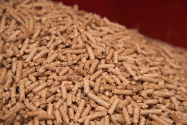 Tahta pelet düzlüğü. Yenilenebilir ve sürdürülebilir yakıt. 6 mm 'lik mermiler ahşap endüstrisinin yan ürünüdür.