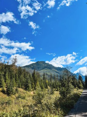 Dağ manzarası çok güzel. Dağların kayalık zirvesi.