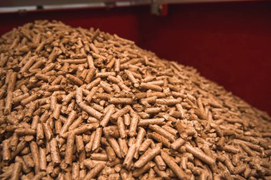 Tahta pelet düzlüğü. Yenilenebilir ve sürdürülebilir yakıt. 6 mm 'lik mermiler ahşap endüstrisinin yan ürünüdür.