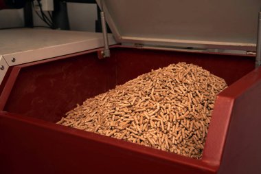 Kazan dairesinde yakıtlı katı yakıt kazanı. Ahşap pelet ısıtma sobası.