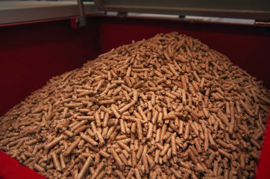 Kazan dairesinde yakıtlı katı yakıt kazanı. Ahşap pelet ısıtma sobası.