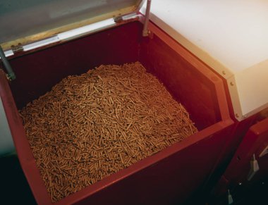 Kazan dairesinde yakıtlı katı yakıt kazanı. Ahşap pelet ısıtma sobası.