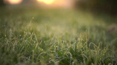 Nehrin üzerinde gün doğumu sisi. Güzel bir gün doğumu ve ürkütücü bir sabah sisi dağın üzerinde sakin bir göl ve arka planda bir orman. Turuncu güneş ışığı.