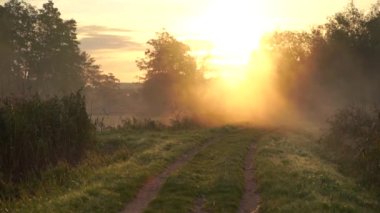 Nehrin üzerinde gün doğumu sisi. Güzel bir gün doğumu ve ürkütücü bir sabah sisi dağın üzerinde sakin bir göl ve arka planda bir orman. Turuncu güneş ışığı.
