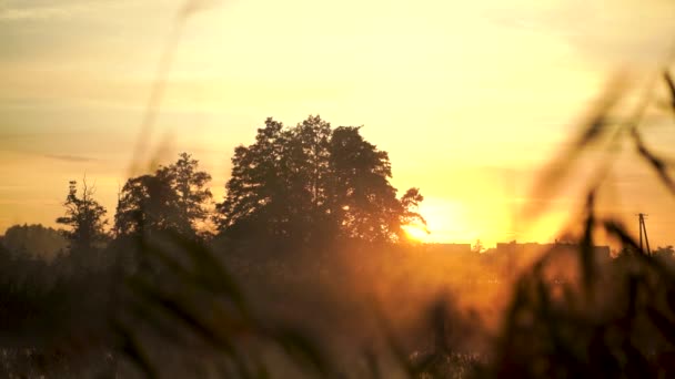 川の上の日の出の霧 美しい日の出と不気味な朝霧 背景の農村部と森の山の穏やかな湖の上に オレンジサンライト — ストック動画