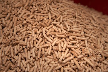 Tahta pelet düzlüğü. Yenilenebilir ve sürdürülebilir yakıt. 6 mm 'lik mermiler ahşap endüstrisinin yan ürünüdür.