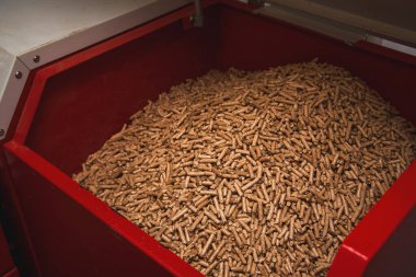 Kazan dairesinde yakıtlı katı yakıt kazanı. Ahşap pelet ısıtma sobası.