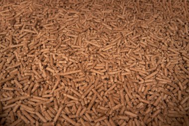 Tahta pelet düzlüğü. Yenilenebilir ve sürdürülebilir yakıt. 6 mm 'lik mermiler ahşap endüstrisinin yan ürünüdür.