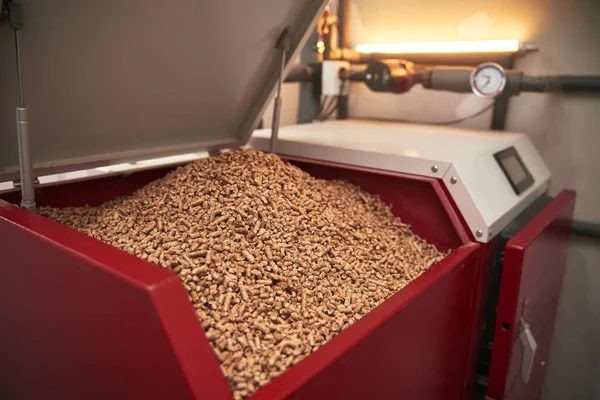 Kazan dairesinde yakıtlı katı yakıt kazanı. Ahşap pelet ısıtma sobası.