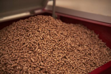 Kazan dairesinde yakıtlı katı yakıt kazanı. Ahşap pelet ısıtma sobası.